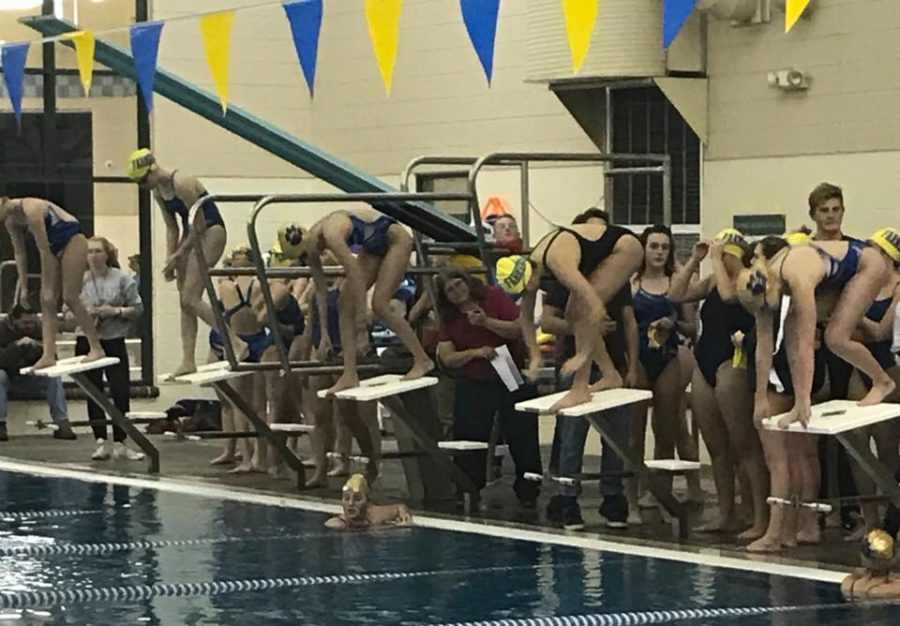 Girls+Swim+Team+Exceeding+Expectations+for+New+Season