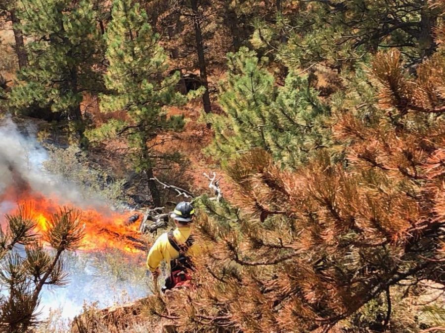 Firefighters battling Horsetooth fire near Fort Collins