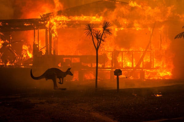 Australian Wildfires Causes Mass Destruction