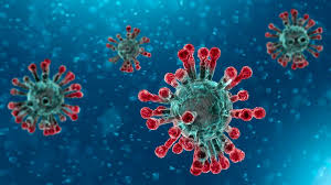 Coronavirus Outbreak Sends Wave of Panic