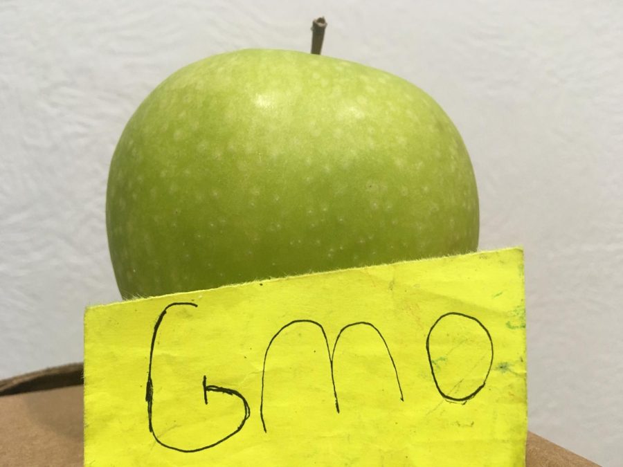 How Bad Are GMOs, Really?